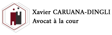 logo mini